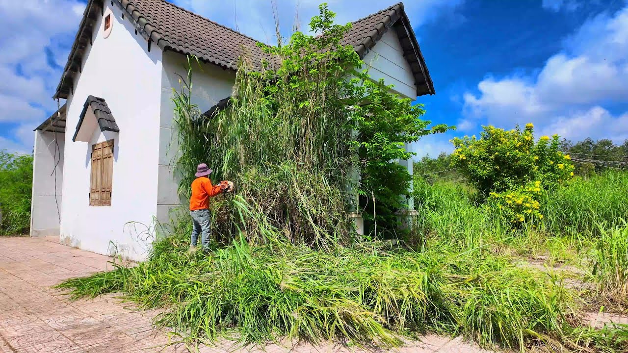 What They Found Behind the Old House Shocked Every Neighbour