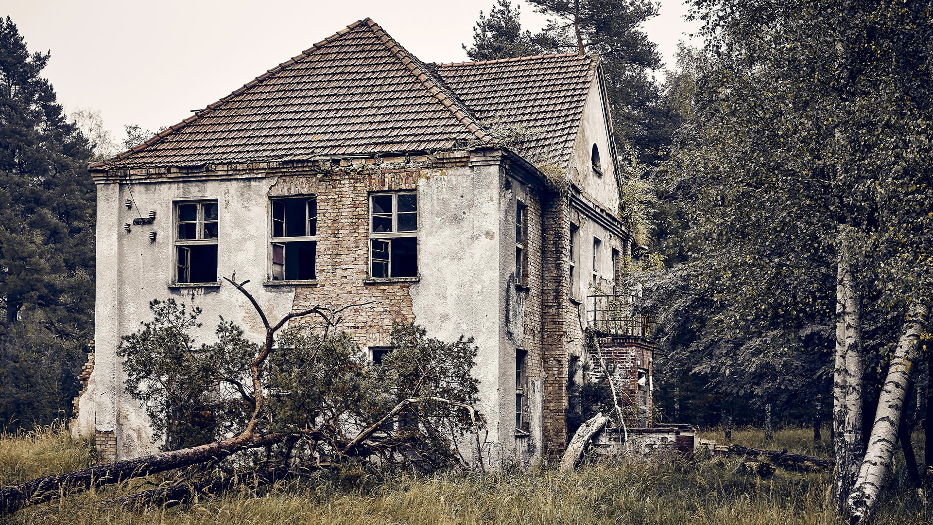 He Bought an Overgrown House—What He Found Inside Shocked Everyone