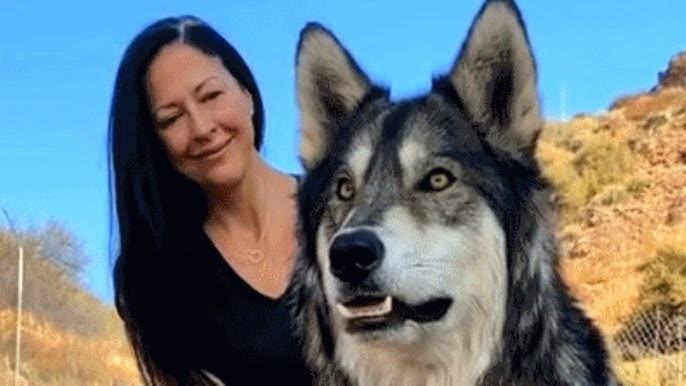 Girl (12) Saves Giant Wolfdog — But the DNA Reveal Was Terrifying 