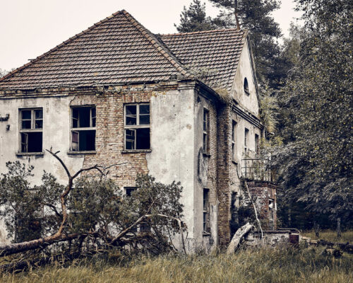 He Bought an Overgrown House—What He Found Inside Shocked Everyone