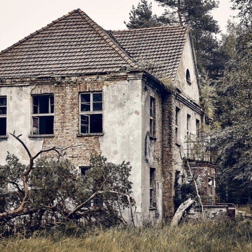 He Bought an Overgrown House—What He Found Inside Shocked Everyone