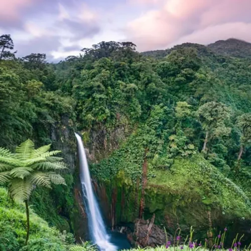 Costa Rica and its Safe Haven Myth Shatters Amid Crisis