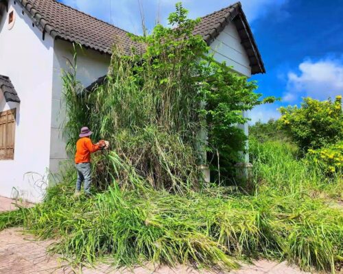 What They Found Behind the Old House Shocked Every Neighbour 